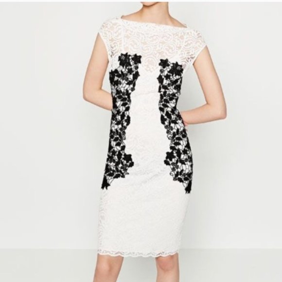 Zara Dresses & Skirts - Zara Woman Sheath Lace Dress